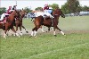 UKPA  NC Sat_1567